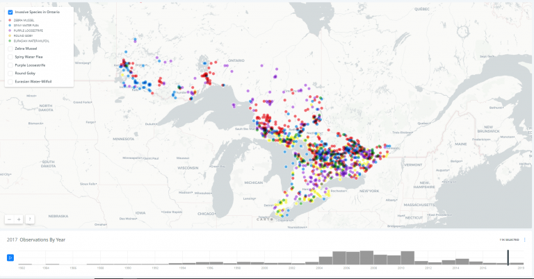 Invasive Species in Ontario: An Animated-Interactive Map Using CARTO ...